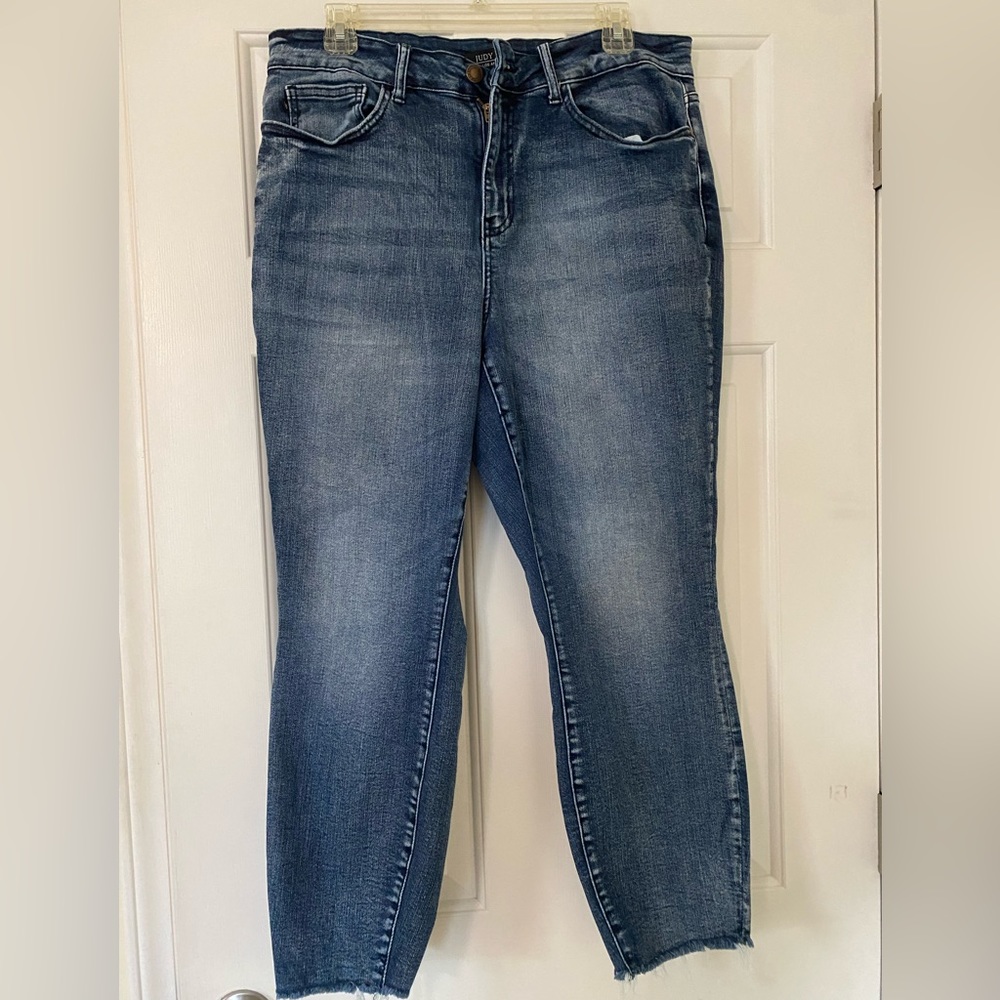 Judy Blue Jean 16W